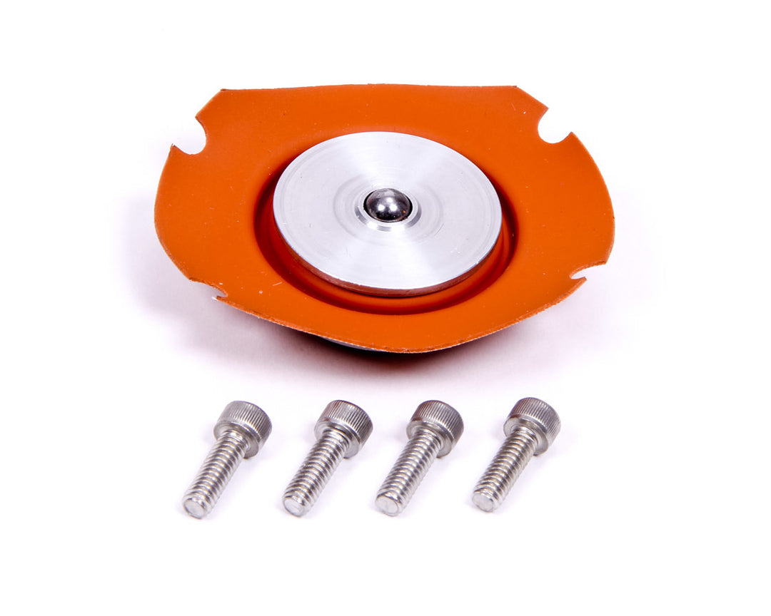 AEROMOTIVE Regulator Service Kit (AFS13001)