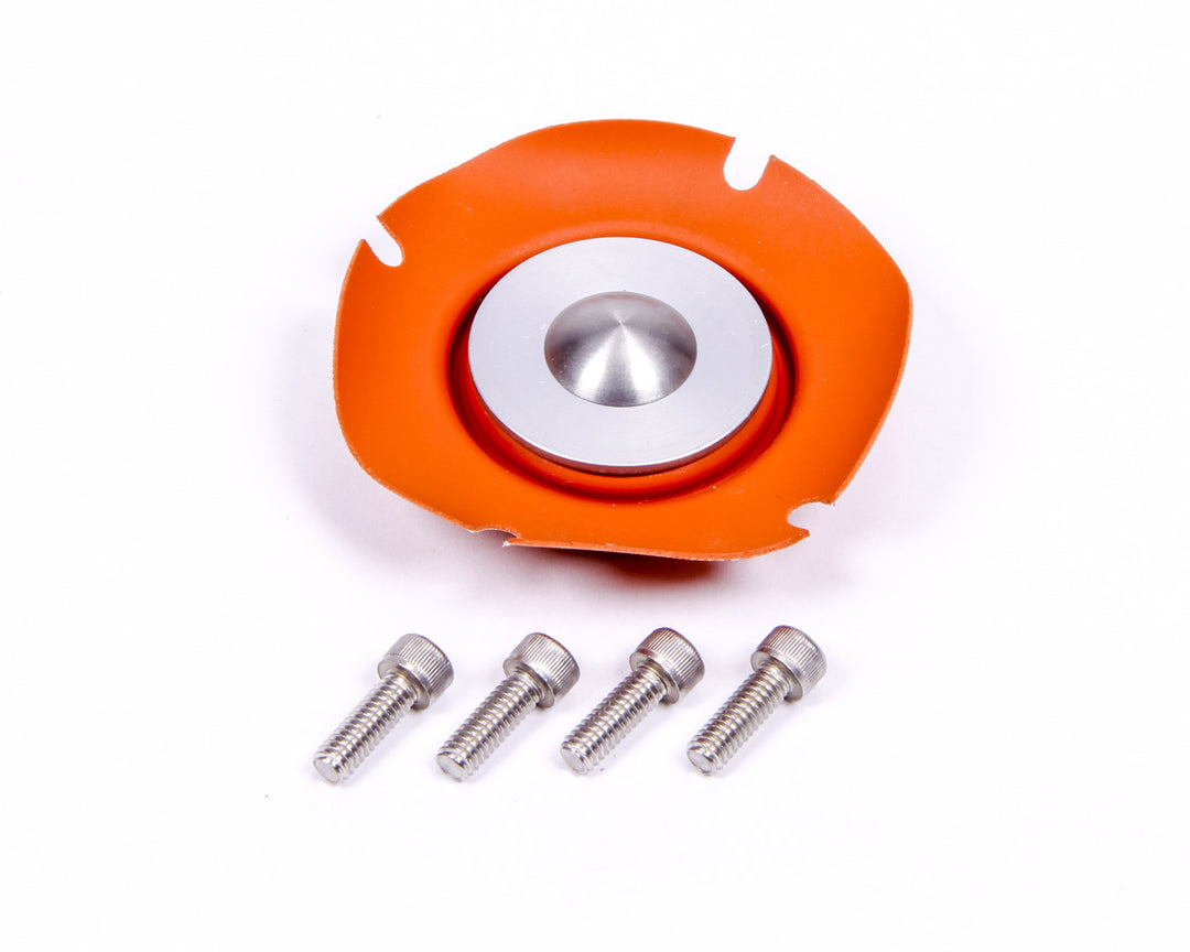 AEROMOTIVE Regulator Service Kit (AFS13006)