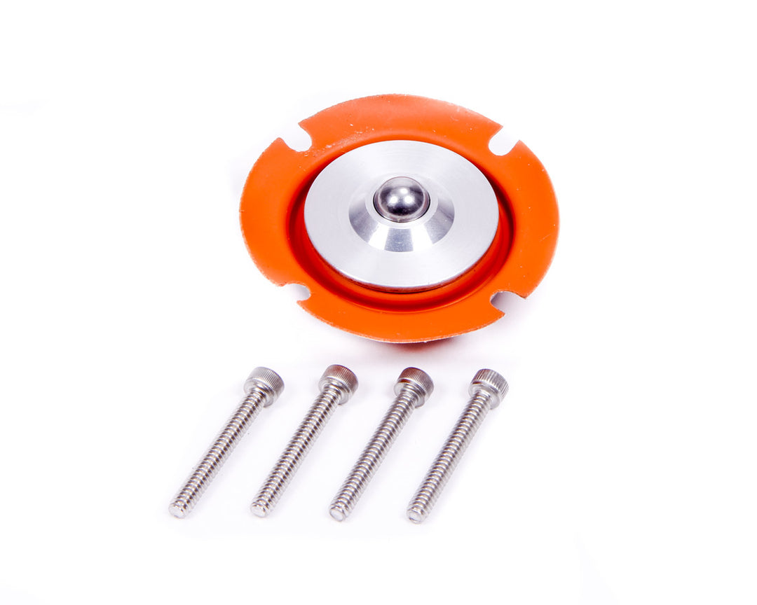 AEROMOTIVE Regulator Service Kit (AFS13008)