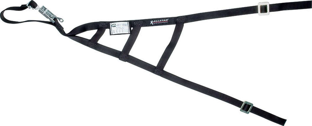 ALLSTAR PERFORMANCE Triangle Window Net SFI (ALL10246)