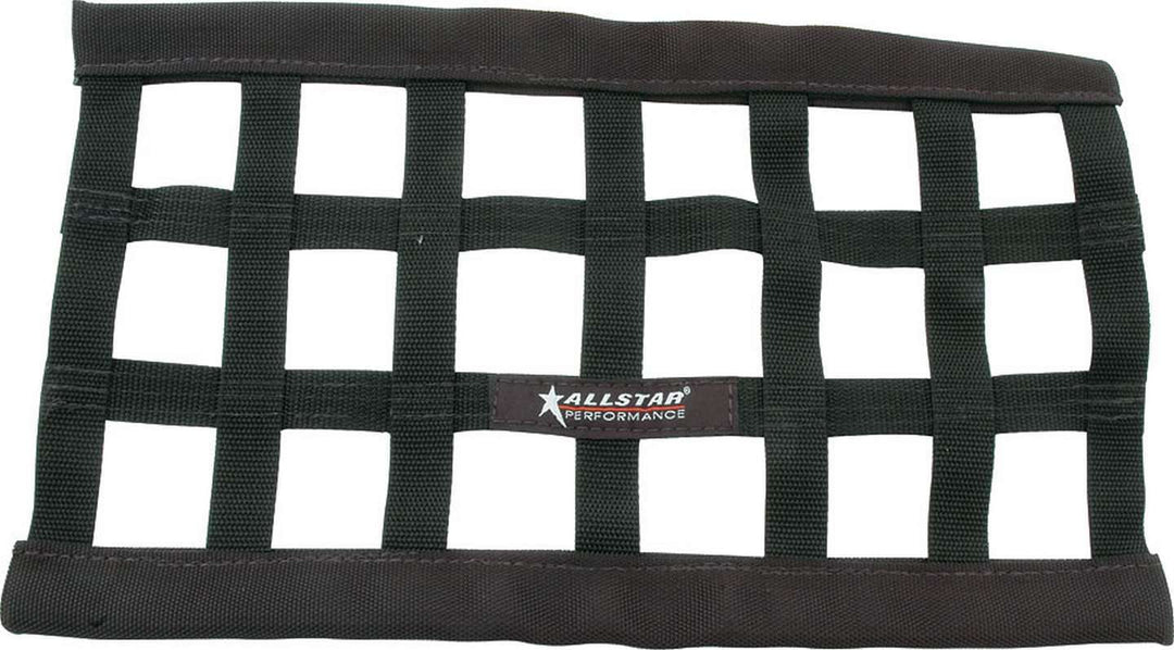 ALLSTAR PERFORMANCE Low Profile Window Net 10 x 18 (ALL10248)