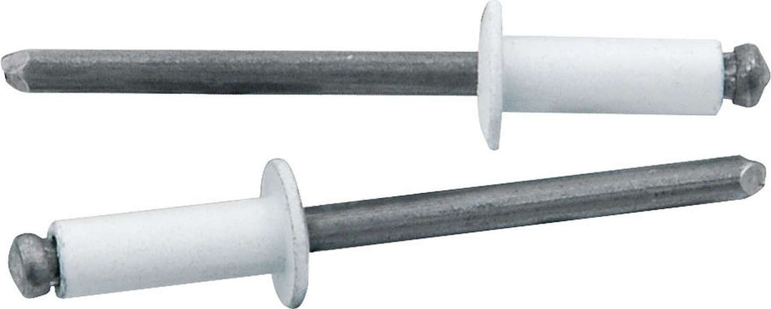 ALLSTAR PERFORMANCE Sm Hd Rivet White 250pk (ALL18114)