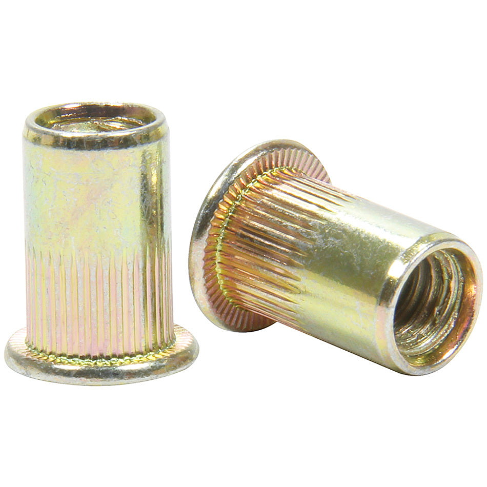 ALLSTAR PERFORMANCE Threaded Insert 1/4-20 10pk (ALL19463)