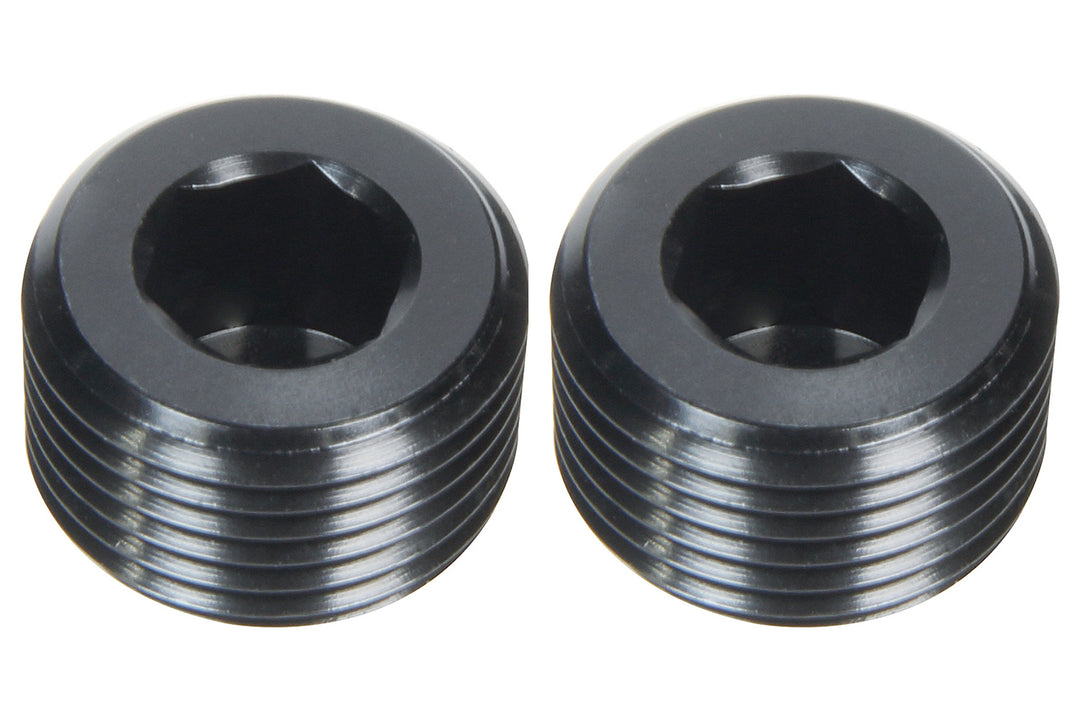 ALLSTAR PERFORMANCE Allen Plugs NPT 1/16in 2pk (ALL49800)