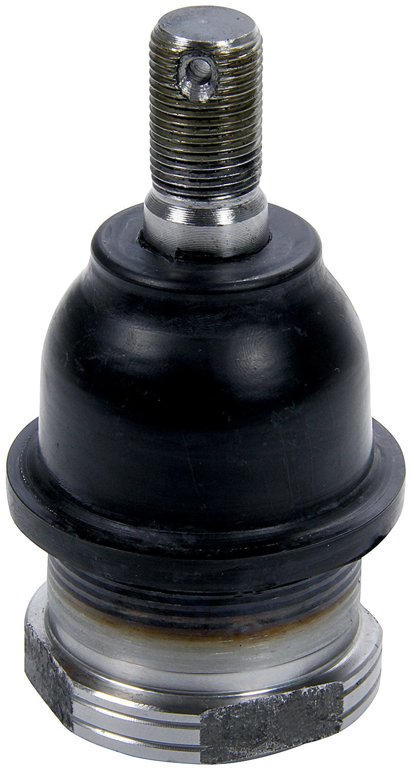 ALLSTAR PERFORMANCE Ball Joint Lower Scrw-In 10pk (ALL56216-10)