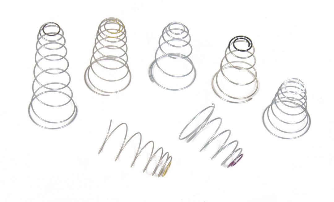 HOLLEY Spring Kit  (HLY20-13)