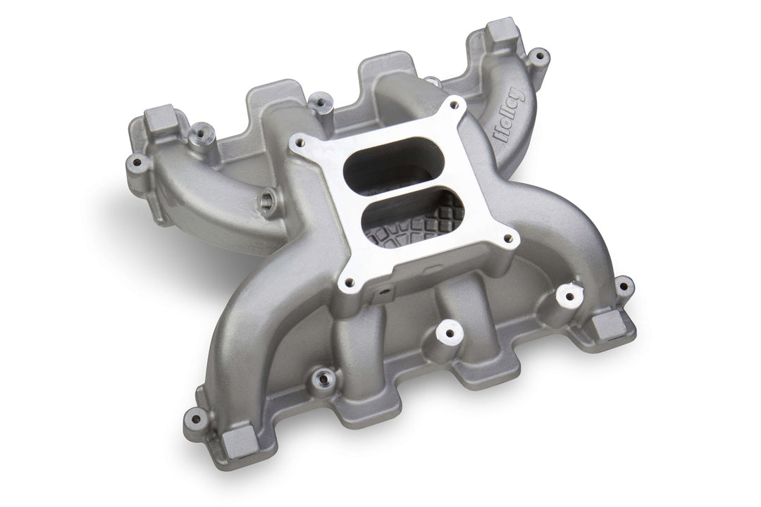 HOLLEY GM LS Intake Manifold Dual Plane w/4150 Flange (HLY300-130)