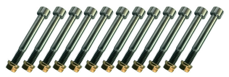 TRIPLE X RACE COMPONENTS Nerf Bar Bolt Kit Titanium (TXRSC-BN-3500)
